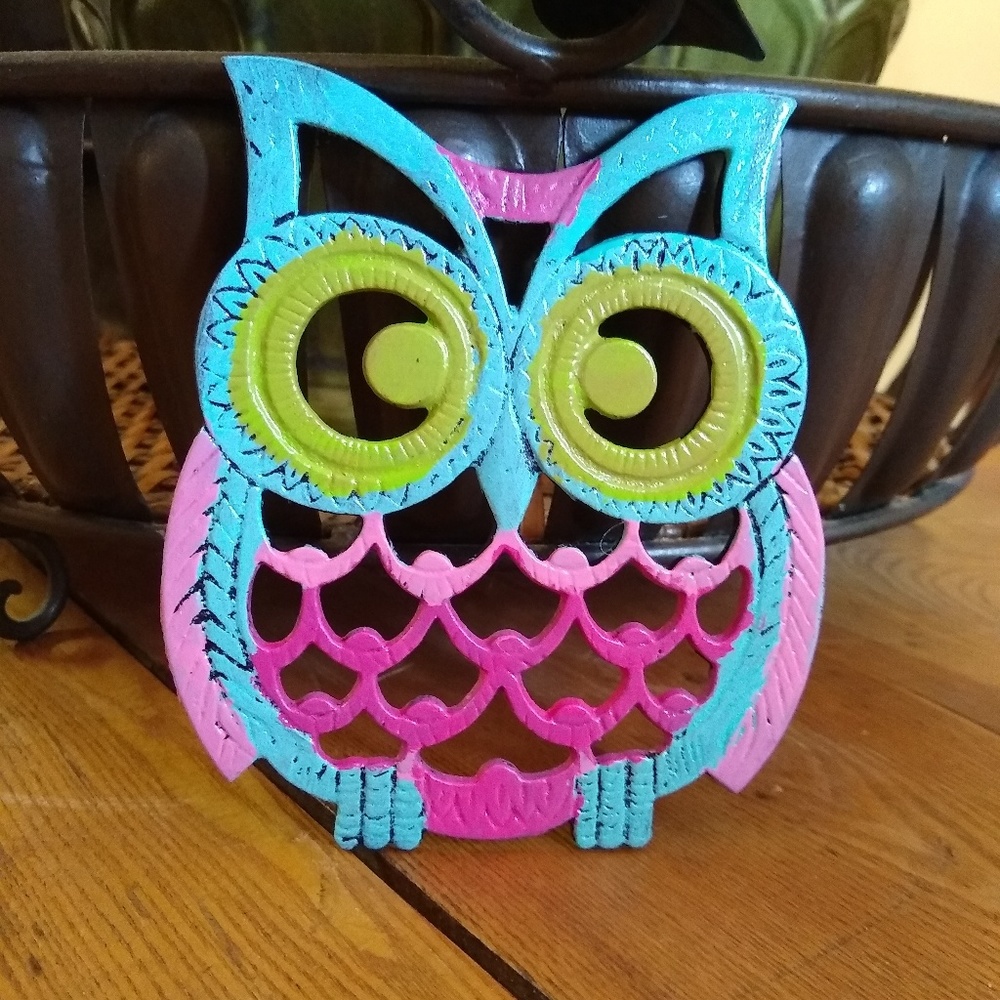 Cast Iron Owl Decor